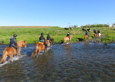 Rideture og rideferie i Island - Rundt om vulkanen