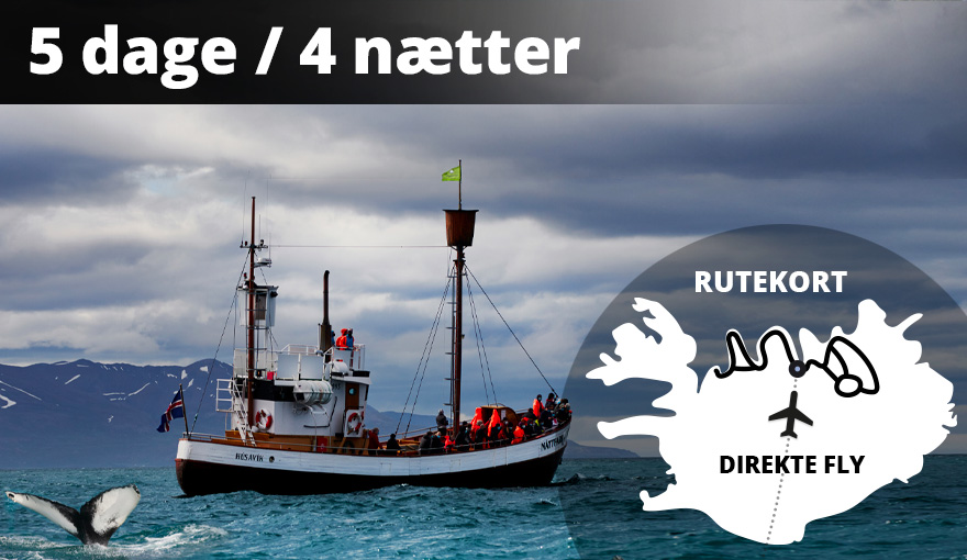 Rejser og kør-selv ferie til Island - Opdag Nordisland
