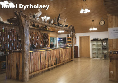 Hotel Dyrholaey på kør-selv ferie bilferie og grupperejser i Island med ISLANDSREJSER