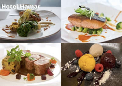 Hotel Hamar på kør-selv ferie bilferie og grupperejser i Island med ISLANDSREJSER