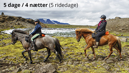 Rideferie i Island og det nordlige højland - ISLANDSREJSER