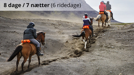 Rideferie i Island og Kjölur - ISLANDSREJSER