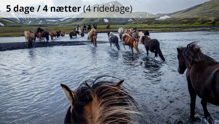 Rideferie i Island og Landmannalaugar - ISLANDSREJSER