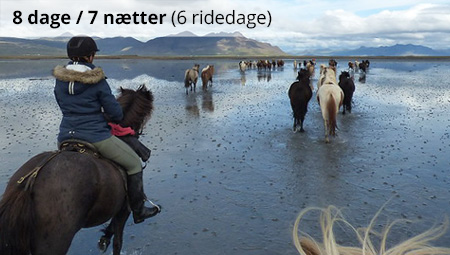 Rideferie i Island og Snæfellsnes - ISLANDSREJSER