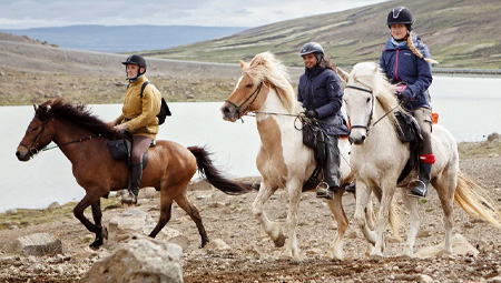 Rideture på islandske heste i Island