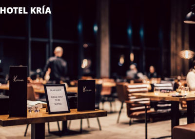 Hotel Kría i Island på kør-selv ferie og bilferie med ISLANDSREJSER
