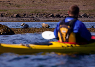 Kajaktur ved Kirkjufell - sejl ved det ikoniske bjerg i Island - aktiviteter i Island med ISLANDSREJSER