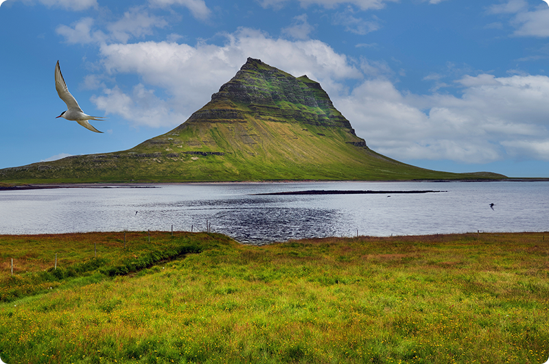 Kirkjufell og rejser til Island - kør-selv ferie og bilferie med ISLANDSREJSER