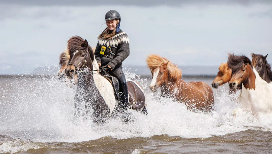 Rideferie i Island med ISLANDSREJSER